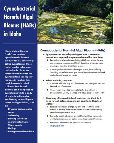 Cyanobacterial Harmful Algal Blooms (HABs) Factsheet *PDF Download*