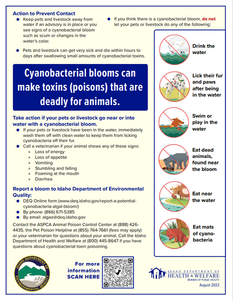 Cyanobacterial Blooms - Animal Safety Alert *PDF Download*