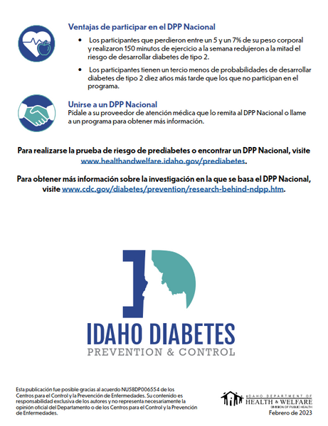 National Diabetes Prevention Program (NDPP) Factsheet (English & Spanish) - Ships in Packages of 25, Max 4 Per Order