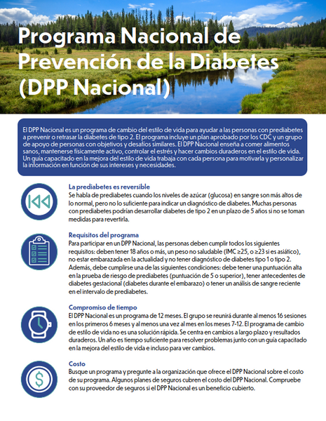 National Diabetes Prevention Program (NDPP) Factsheet (English & Spanish) - Ships in Packages of 25, Max 4 Per Order