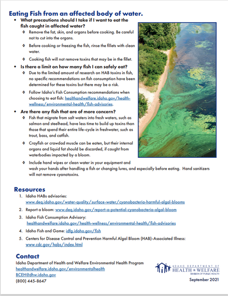 Cyanobacterial Harmful Algal Blooms (HABs) Factsheet - Print Version
