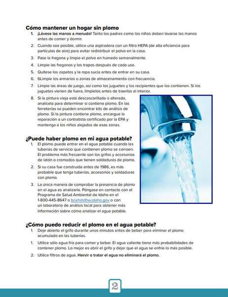 Lead Facts Factsheet (Spanish) - Print Version