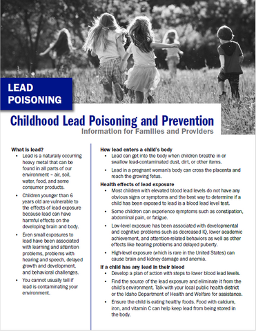Childhood Lead Poisoning and Prevention Program: Information for Families and Providers - Medical Quick Guide - Print Version
