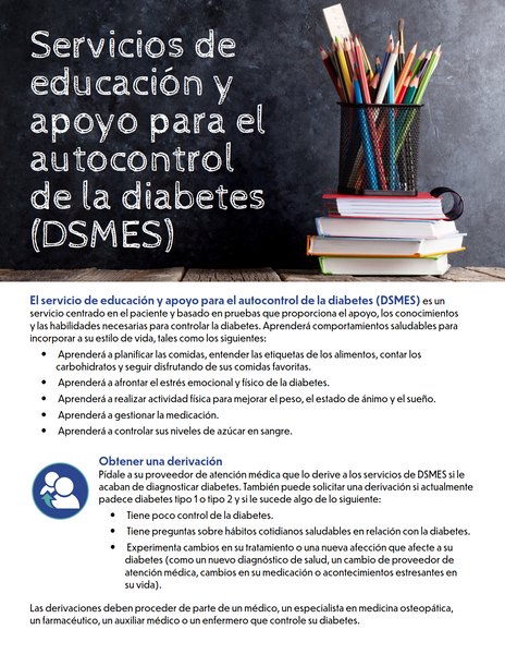 DSMES Services Factsheet (English & Spanish) - Ships in Packages of 25, Max 4 Per Order