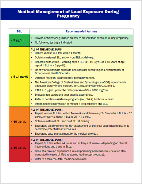 Childhood Lead Medical Quick Guide Collection - Print Version