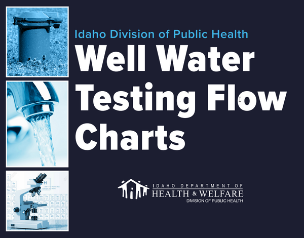 Well Water Testing Flow Charts