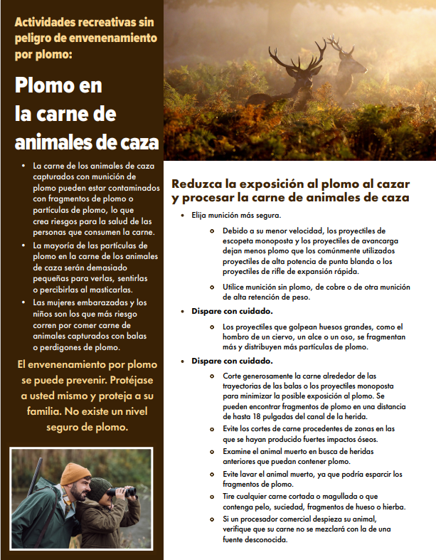 Lead in Wild Game Meat Spanish Factsheet PDF Download