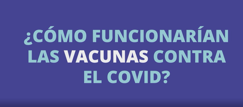 How Vaccines Work - Spanish