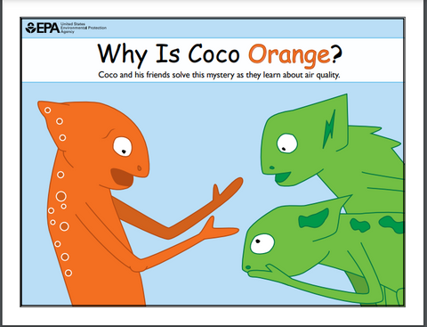 Why Is Coco Orange? Book-Print